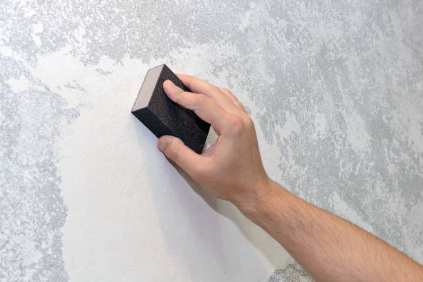 Best Mold Removal for HVAC Installations  in North Decatur, GA