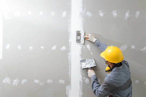 Best Residential Mold Inspection & Testing  in North Decatur, GA