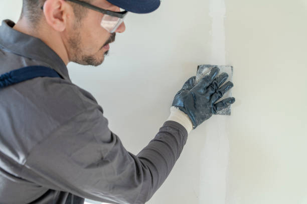 Best Environmental Consulting for Mold Prevention  in North Decatur, GA