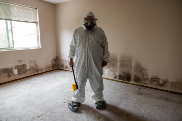 Asbestos and Lead Testing During Mold Inspection in North Decatur, GA